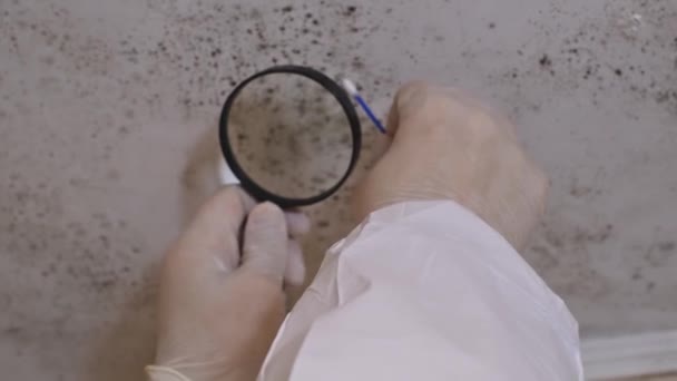 型のクリーニング 金型の浴室および殺すために化学薬品を噴霧する専門の保護スーツの男 — ストック動画