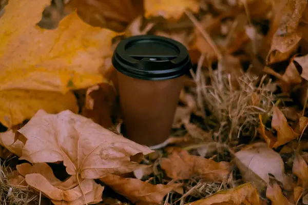 Paper cup with coffee in an autumn park on a background of yellow leaves. Autumn season. Make a cup of coffee on the go.