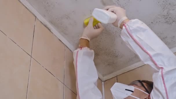 Skimmel Rengøring Mugne Badeværelse Mand Professionel Beskyttelsesdragt Sprøjtning Kemikalier Til – Stock-video