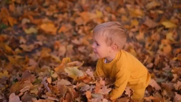 Мальчик Счастливо Бросает Листья Воздух Смех Эхом Проносится Парку Создавая — стоковое видео