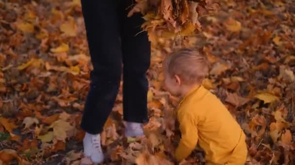 Мати Син Діляться Радісними Моментами Оточеними Золотими Відтінками Парку Ідеально — стокове відео