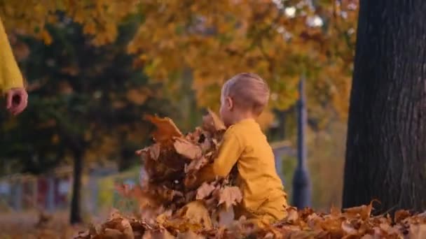 Çocuk Mutlulukla Havaya Yapraklar Fırlatıyor Gülüşü Parkta Yankılanıyor Dokunaklı Bir — Stok video