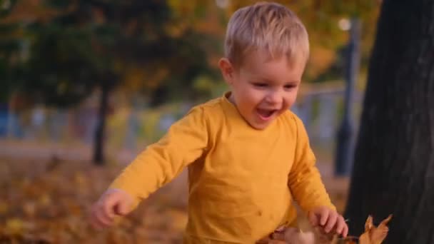 少年は喜んで空中に放り出され 彼の笑いは公園を通って響き 無邪気さと幸福の感動的な場面を作り出しました 秋の子供時代の純粋な喜びを捉える — ストック動画
