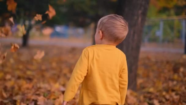 Chłopiec Szczęśliwie Rzuca Liśćmi Powietrze Jego Śmiech Odbija Się Echem — Wideo stockowe