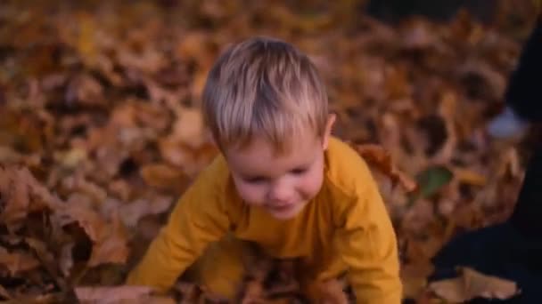 Chłopiec Szczęśliwie Rzuca Liśćmi Powietrze Jego Śmiech Odbija Się Echem — Wideo stockowe