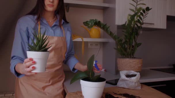Vrouwelijke Bloemist Films Zelf Tuinieren Blogger Concept Van Vlogging Tuinbouw — Stockvideo