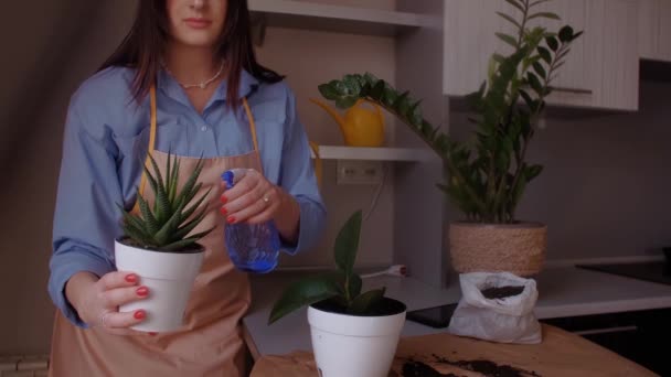 Fleuriste Féminine Occupant Des Plantes Intérieur Jardinage Pulvérisation Eau Sur — Video