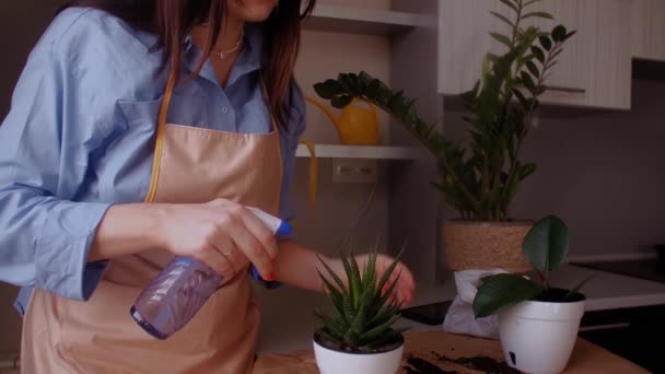 Fleuriste Féminine Occupant Des Plantes Intérieur Jardinage Pulvérisation Eau Sur — Video