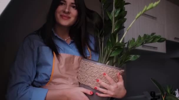 Jonge Vrouw Creëert Een Vlog Het Verzorgen Van Kamerplanten Inhoud — Stockvideo
