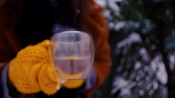 茶色のコートを着た旅行者は 冬の森で熱を保持しています 森を探検するハイカー お祝いのクリスマスの雰囲気 アウトドアアドベンチャーを楽しむ女性 — ストック動画