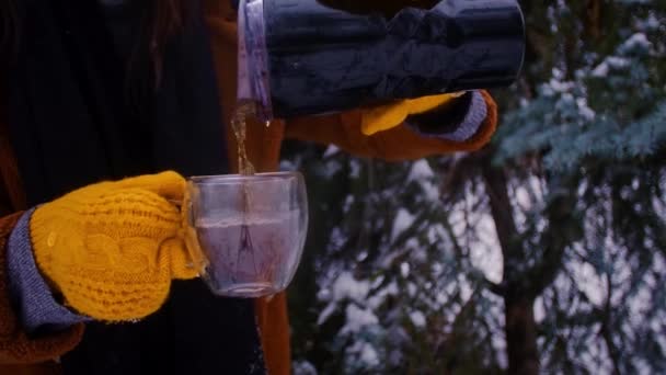 Мандрівник Коричневому Пальто Тримає Термос Зимовому Лісі Пішохід Досліджує Ліс — стокове відео