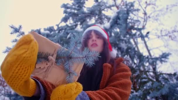 Женщина Держит Завернутый Рождественский Подарок Зимнем Лесу Праздничный Подарок Заснеженном — стоковое видео