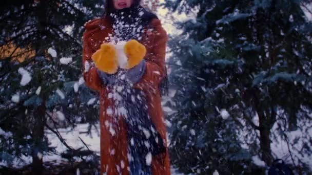 Παιχνιδιάρα Γυναίκα Ρίχνει Χιονόμπαλες Χειμώνα Χιόνι Πέφτει Από Γάντια Αργή — Αρχείο Βίντεο