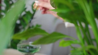 Klorofil ile sağlıklı bir yaşam tarzı benimse! Bir bardağa doldurmak güne mükemmel bir başlangıç. Sabah rutinine klorofilin canlı yeşil iyiliğiyle başla..