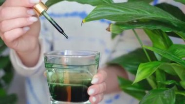 Klorofil ile sağlıklı bir yaşam tarzı benimse! Bir bardağa doldurmak güne mükemmel bir başlangıç. Sabah rutinine klorofilin canlı yeşil iyiliğiyle başla..