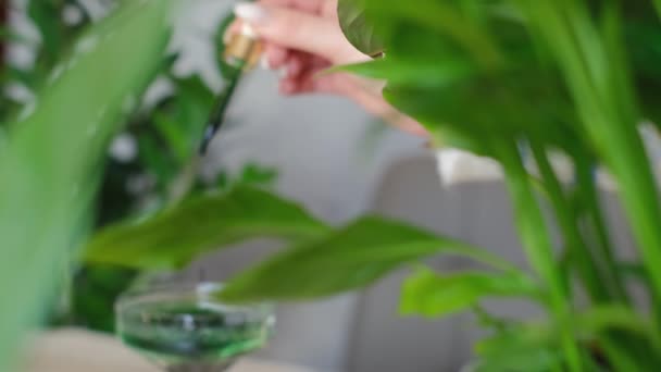 Adoptez Mode Vie Sain Avec Chlorophylle Verser Dans Verre Est — Video