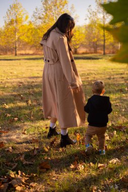 Bir anne ve oğlu bahar parkında geziniyor, aile hafta sonunun tadını çıkarıyor, Anneler Günü 'nü kutluyor..
