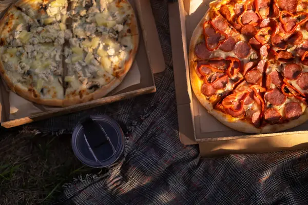 Pizza rests on a picnic blanket, epitomizing a spring picnic scene with a delicious pizza spread.