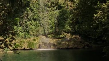 Doğanın harikalarını keşfedin: yemyeşil parktaki bir şelale. Çevre turizmi, yürüyüş gezileri ve doğal rezervleri ve yerleri keşfetmek için ideal..