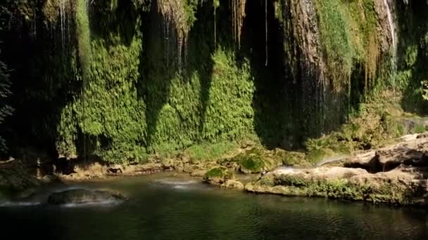 Upptäck Naturens Ett Vattenfall Lummig Grön Park Idealisk För Ekoturism — Stockvideo