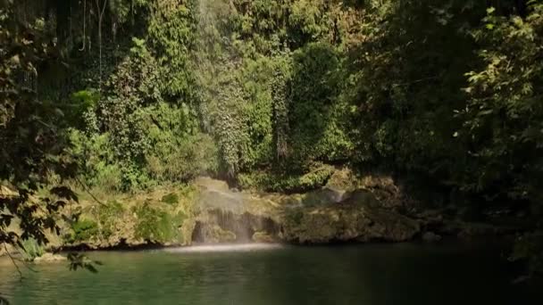 Entdecken Sie Die Wunder Der Natur Ein Wasserfall Üppig Grünen — Stockvideo