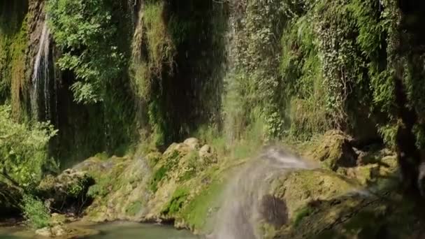 发掘大自然的奇迹 一片茂盛的绿地中的瀑布 理想的生态旅游 游览自然保护区和地标 — 图库视频影像