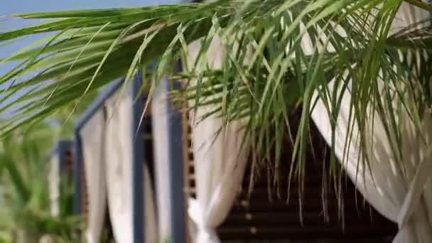 Sommer Strand Pavilloner Med Palme Frynsede Kyster Ideel Til Resort – Stock-video