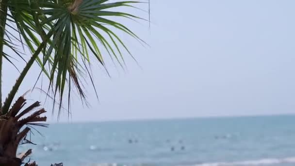 Приморські Хвилі Мальовничі Морські Пейзажі Ідеально Підходить Просування Прибережних Готелів — стокове відео