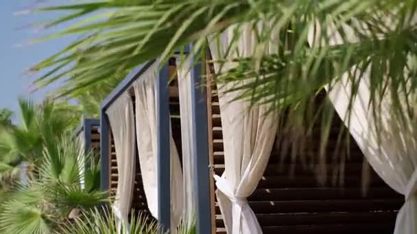 Palmiye Püsküllü Kıyıları Olan Yaz Plaj Balkonları Tatil Beldeleri Turlar — Stok video
