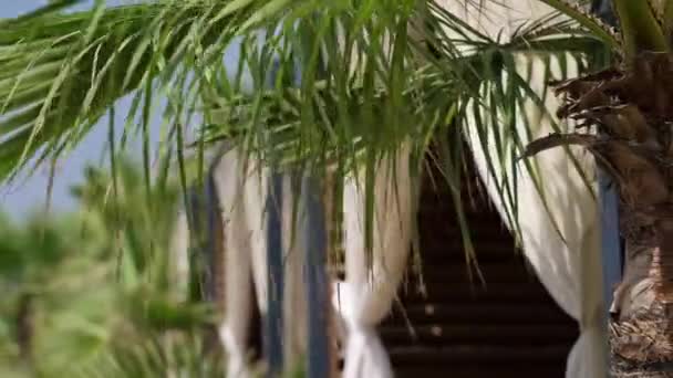 Letnie Altany Plażowe Palmowymi Brzegami Idealne Dla Hoteli Kurortowych Wycieczek — Wideo stockowe