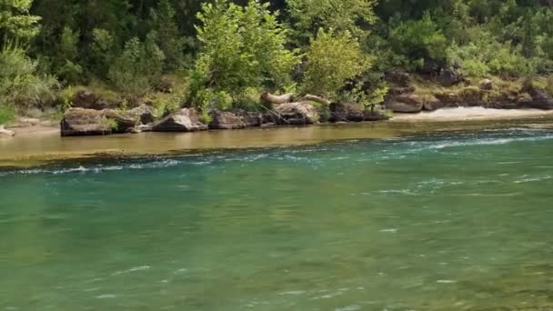 背景には緑の木が並ぶ山の川が流れています レクリエーション活動 マウンテンリバーでのラフティング レクリエーションエリアでのツアーや遠足 エクストリーム観光 — ストック動画