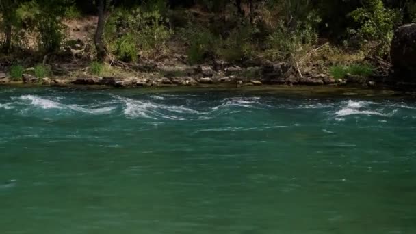 Górska Rzeka Ryczy Zielonymi Drzewami Tle Działalność Rekreacyjna Rafting Górskich — Wideo stockowe