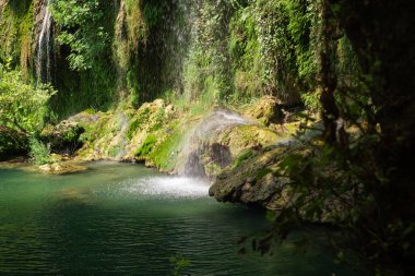 Doğanın harikalarını keşfedin: yemyeşil parktaki bir şelale. Çevre turizmi, yürüyüş gezileri ve doğal rezervleri ve yerleri keşfetmek için ideal..
