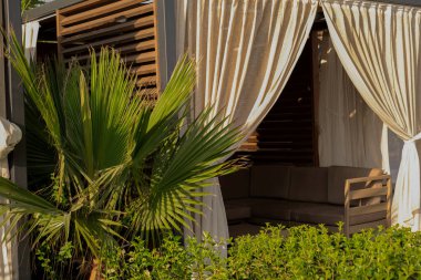 Palmiye püsküllü kıyıları olan yaz plaj balkonları tatil beldeleri, turlar, kulübeler ve çevre dostu keşifler için idealdir. Kıyı cazibesini ve yerel eğlenceleri kucaklayın.