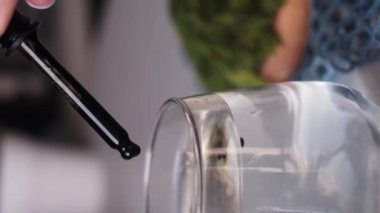 Çevre dostu gıda ürünleri, sağlıklı içecekler, yeşil meyve suları, takviyeler ve vitaminler keşfedin. Yeşil Yaprak Günü 'nde bitkisel beslenmeye ve ekolojiye adanmış doğal ve yararlı öğeleri kucaklayın..