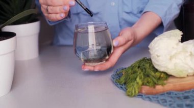 Yeşil Yaprak Günü 'nde bitkisel beslenmeye ve ekolojiye adanmış doğal ve besleyici gıdaları kucaklayın. Sağlıklı yaşam ve veganlığı teşvik et..