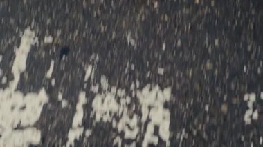 Yağmurdan sonra ıslak asfalt üzerinde yürüyen bacakların en üst görüntüsü, bahar atmosferi. Spor ayakkabılar ve şık kıyafetler, kot pantolon, siyah spor ayakkabılar..