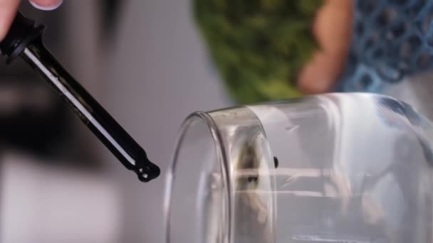 Откройте Себя Экологически Чистые Продукты Питания Полезные Напитки Зеленые Коктейли — стоковое видео
