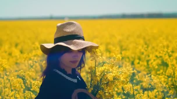 Sarı Bir Tarlada Yapımı Yapımı Yapımı Yapımı Bir Çantayla Duran — Stok video