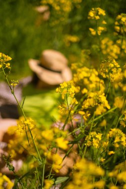 Yeşil elbiseli güzel bir kadın piknik yapıyor, hasır şapkalı, arka planda sarı kolza tohumu tarlası açıyor..