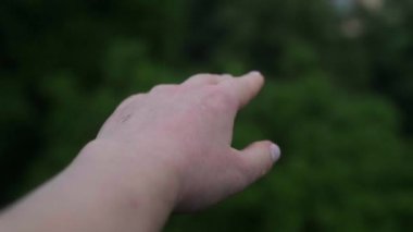 Şiddetli yağmur altında kadının eli, fırtınalı havada yağmur damlaları yağar..