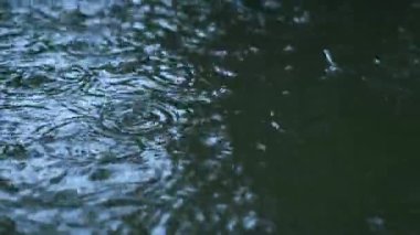 Yaz yağmuru sırasında su birikintisine düşen yağmur damlaları mevsimin ferahlatıcı ve rahatlatıcı atmosferini vurgular..