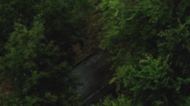 Düşen yağmur damlaları, ıslak asfalt ve güçlü rüzgarda sallanan yeşil ağaç gölgeleri olan bir yolun kuş bakışı görüntüsü..