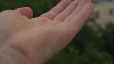 Yağmur suyunun, tanınmayan bir palmiyeye yavaşça sıçrayan görüntüsü..