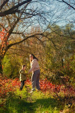Bir anne ve oğlu sonbahar ormanında mantar topluyor, aile zamanlarının tadını çıkarıyor ot ve dut topluyor çevre dostu bir hobi..