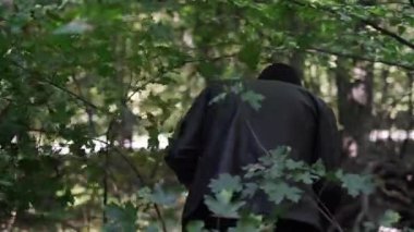 Sonbahar ormanlarında mantar arayan, vahşi mantar toplayan, botanik, mikoloji ve ormancılığa odaklanan bir adam. Yüksek kalite 4k görüntü