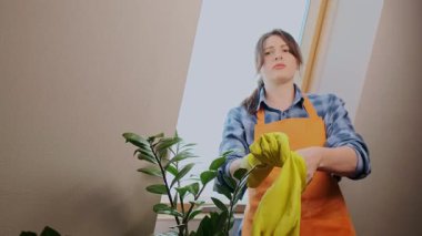 Turuncu iş önlüklü genç bir kadın temizlik için lastik eldiven takarak bir müşterinin yerinde temizlik işine hazırlanıyor. Yüksek kalite 4k görüntü