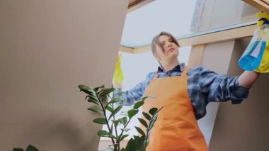 Daha fazla güneş ışığı alabilmek için pencereleri iyice temizleyen genç bir kadın. Düzenli temizlik tozları ve polenleri ortadan kaldırır, hava kalitesini artırır. Yüksek kalite 4k görüntü
