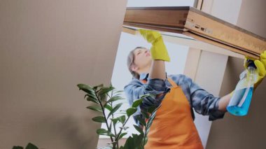 Genç bir kadın dairesinde cam siliyormuş. Elinde bez parçası ve temizlik malzemesi tutuyormuş. Yüksek kalite 4k görüntü