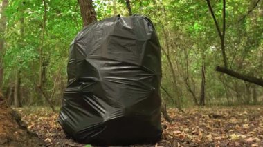 Çevre görevi: yeşil bir ormanda toplanan bir torba çöp doğayı temiz tutmak için ilgili insanlar tarafından toplanıyor. Yüksek kalite 4k görüntü
